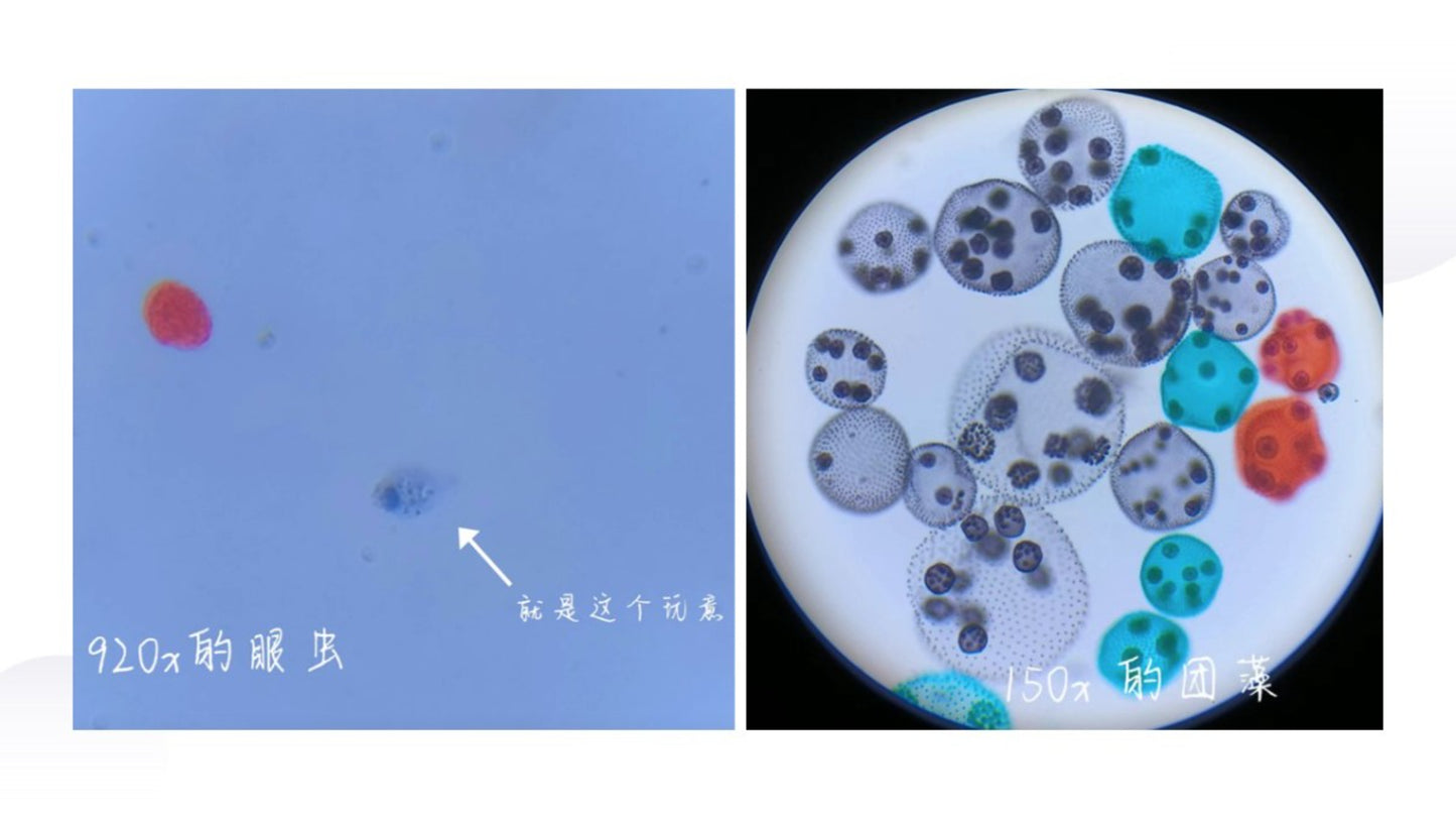 高中生物