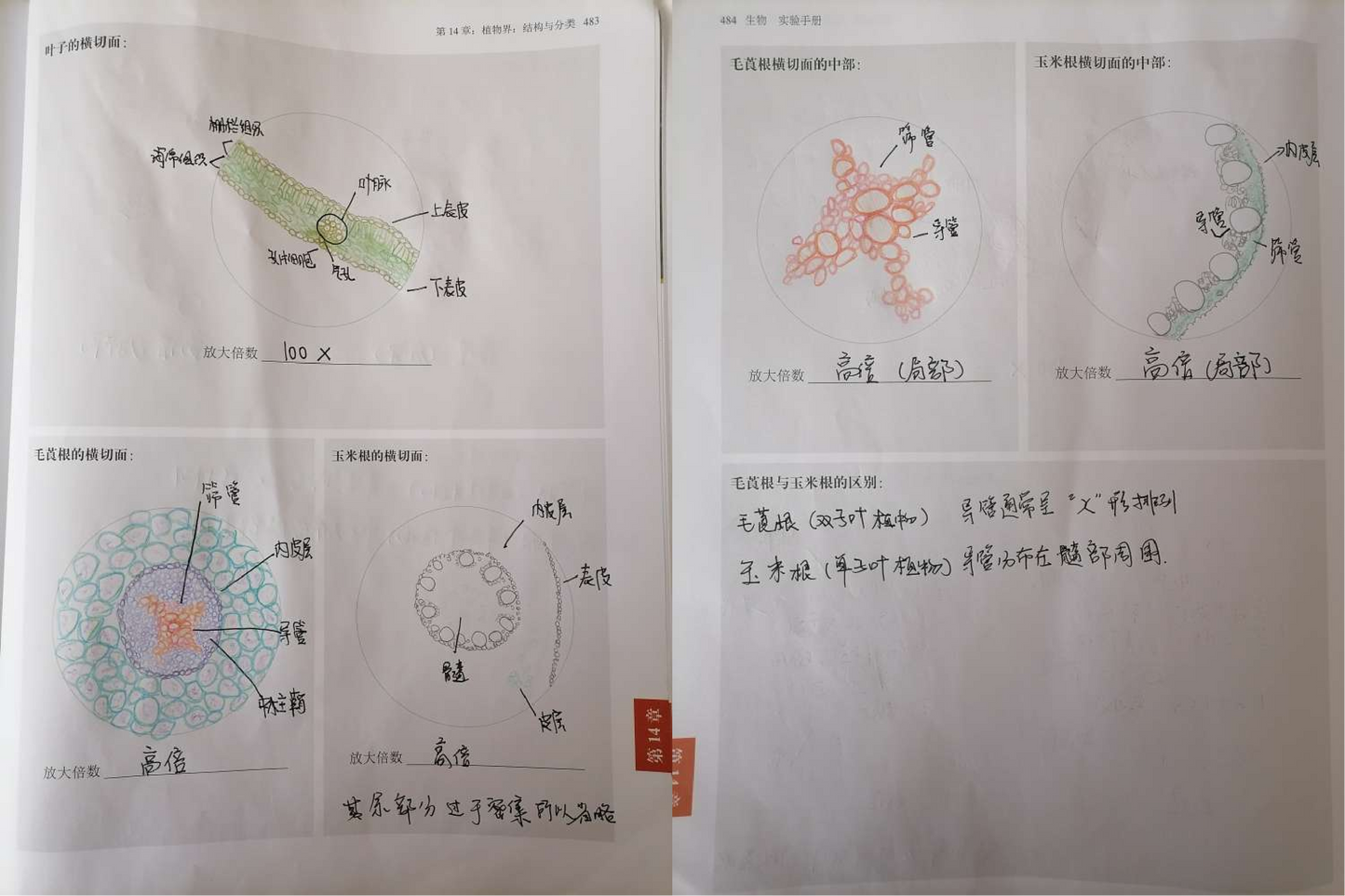 高中生物