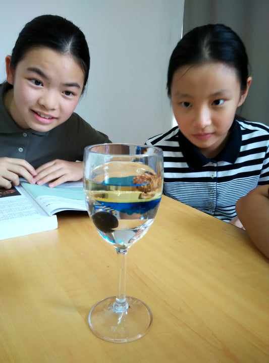 直播课《 科学入门》