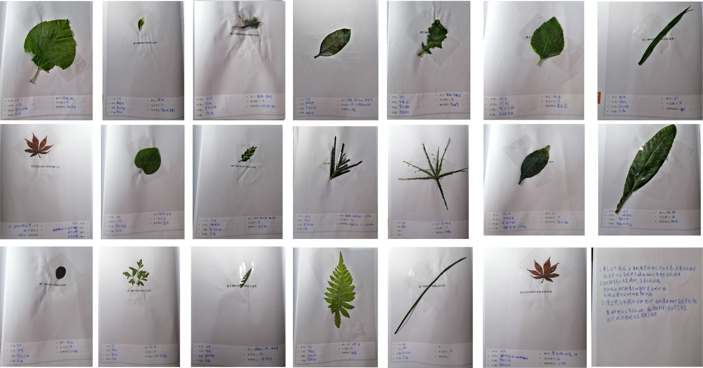 高中生物